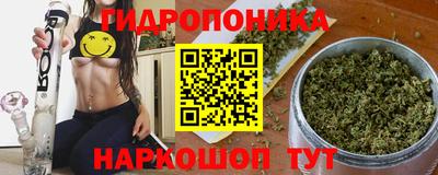 spice Канаш