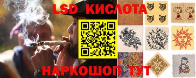 spice Канаш
