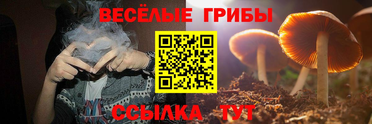 Галлюциногенные грибы мухоморы  Вход с VPN  цена наркотик  Соликамск  Псилоцибиновые грибы GOLDEN TEACHER 